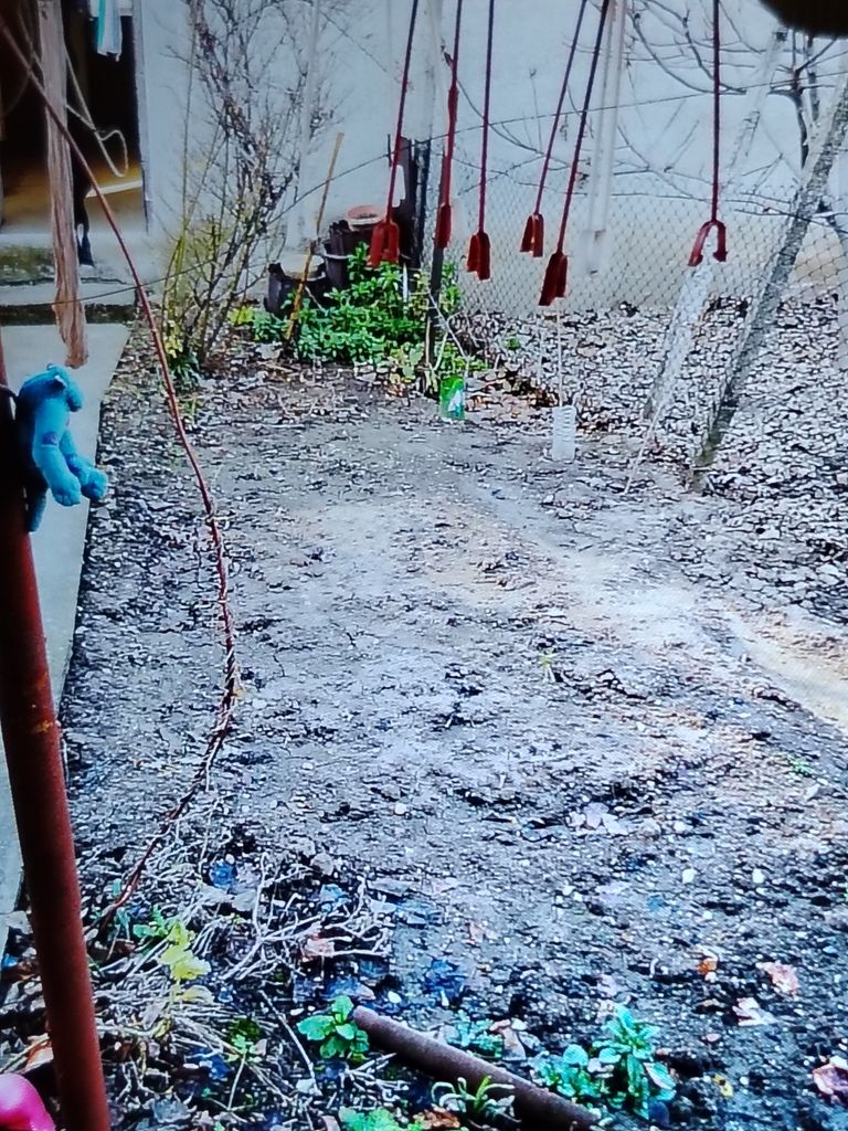 Продава се Парцел в Силистра, Римска гробница - 60 кв.м за 468 €/кв.м - Снимка #5