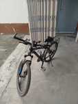 Velosiped . Nexsus