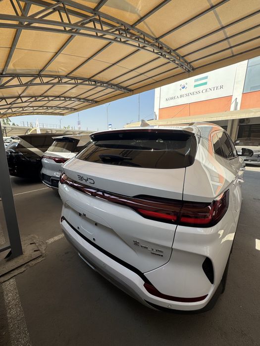 byd chempion smart live 2025 yil