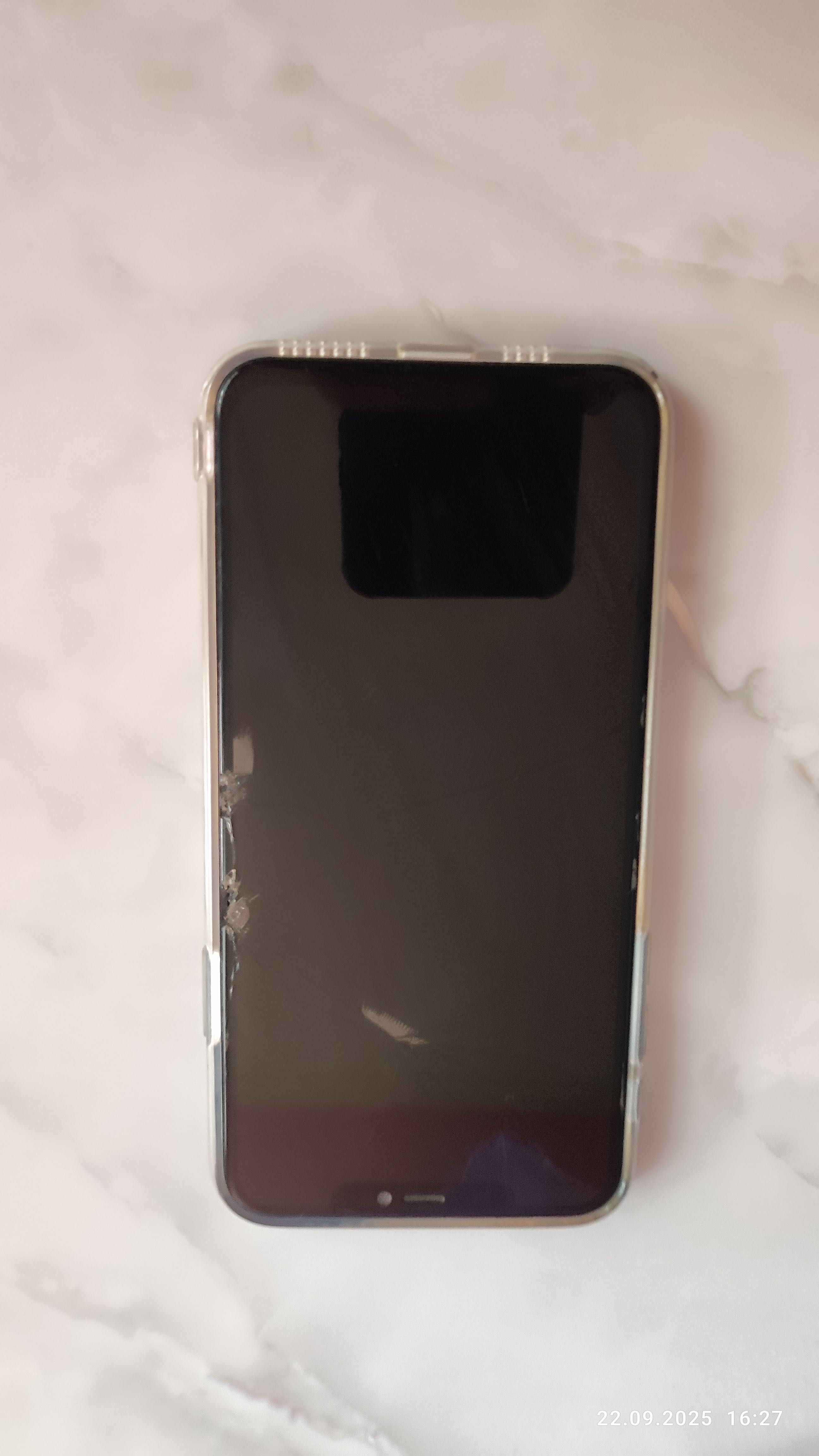 iphone 11 pro max srochna