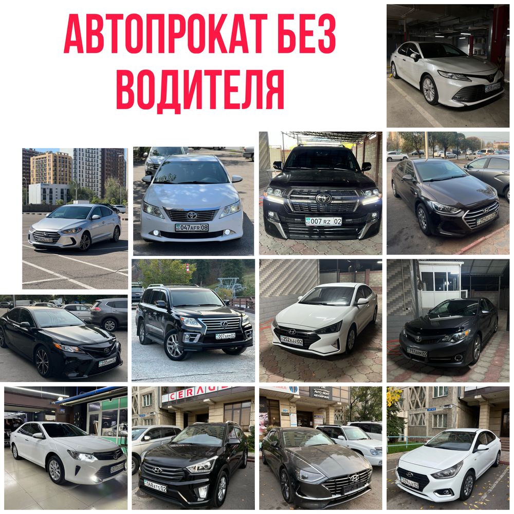 Авто аренда, Аренда акцент камри, Прокат авто, Автопрокат без водителя