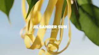 Jil Sander Sun Eau de Toilette pentru femei 30 ml