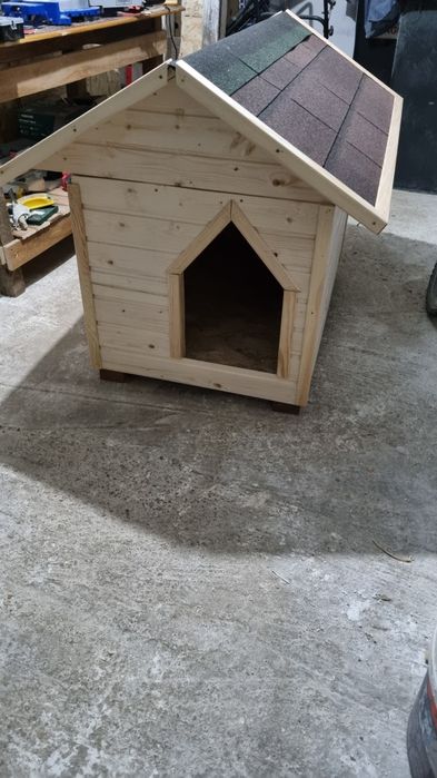 Cusca pentru caine izolata