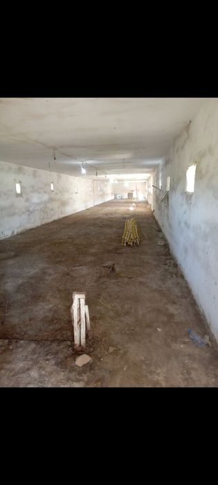 Tovuq ferma cholush tarapta