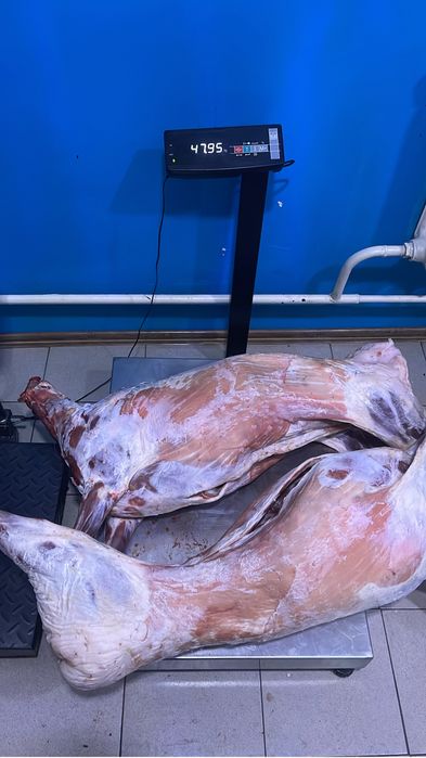 Продам мясо баранины тушами