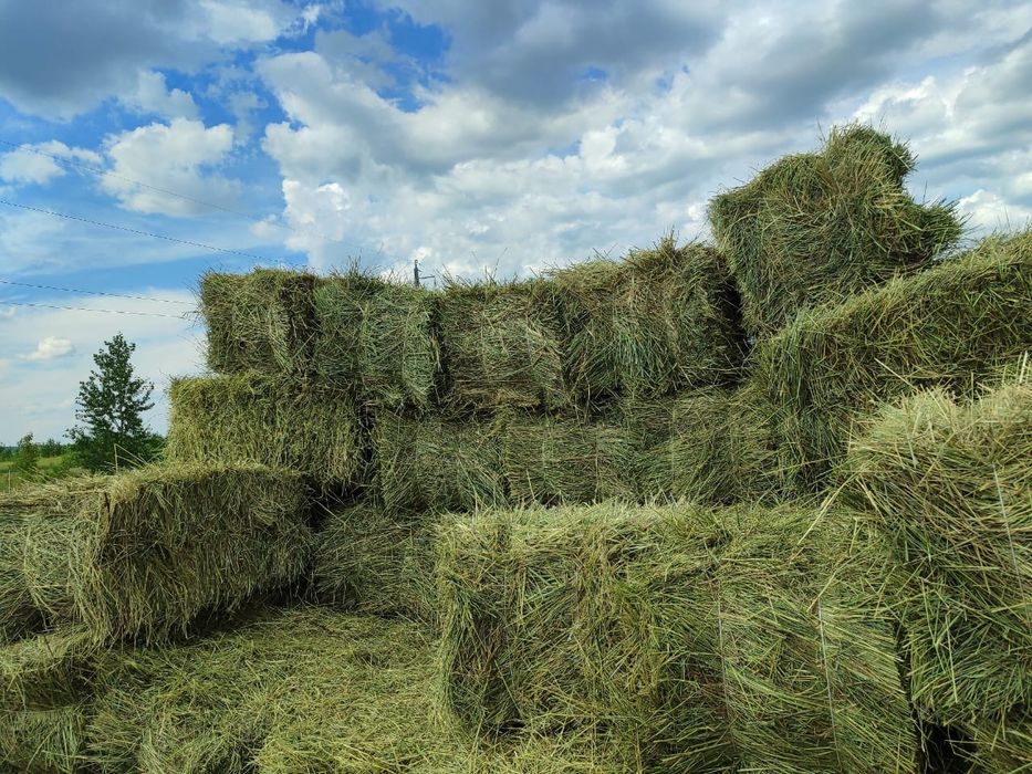 Продам сено в тюках