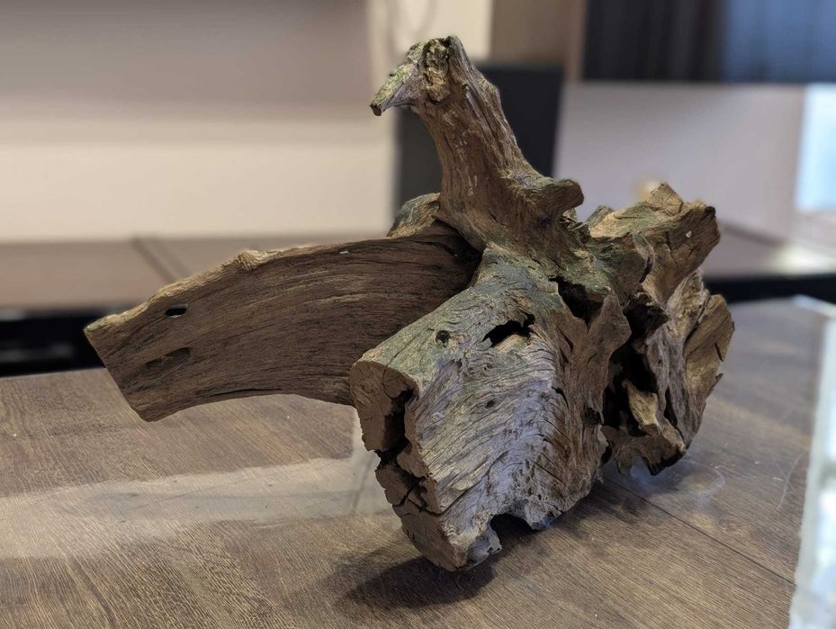 Vand lemn natural decor acvariu