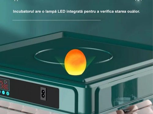 Incubator ouă automat profesional smart Rico, 70 ouă
