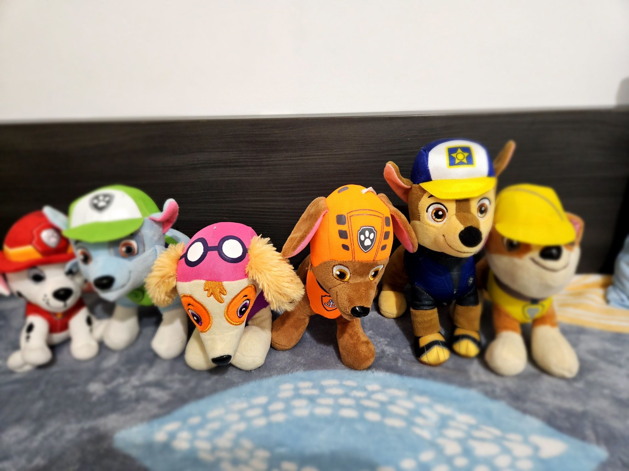 Patrula Catelusilor/Paw Patrol