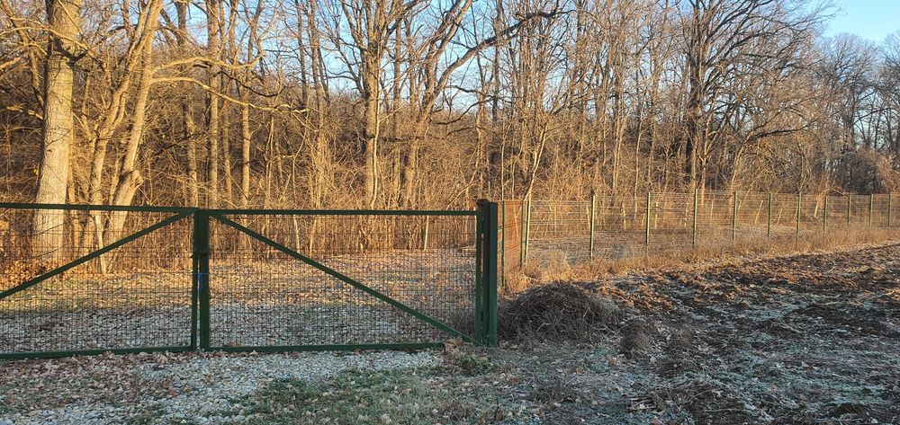 Teren de vanzare Snagov-Tancabesti, langa padure