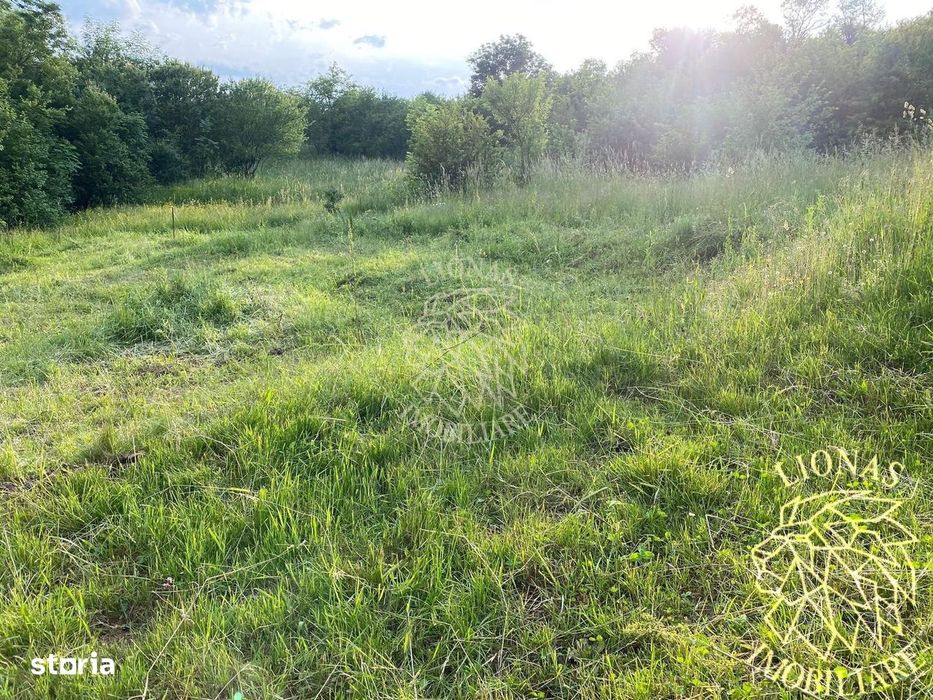 Teren Intravilan 844 mp cu utilitati-ideal casa-Sigmir