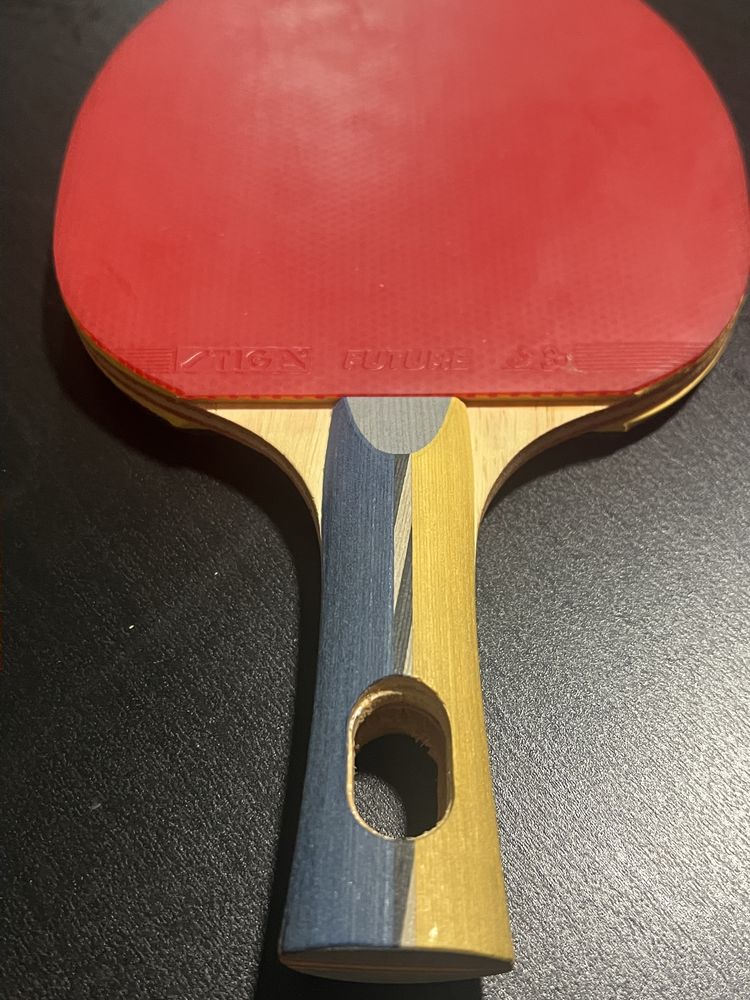 Paleta pin pong  ( gold cup,future stiga ,J.Secretin)