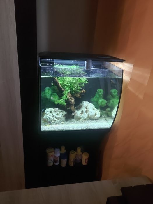 Acvariu fluval flex 57 litri cu stand +filtru cu care a venit