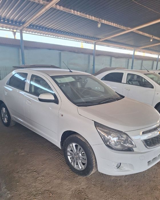 Cobalt stayel 2025 egadan