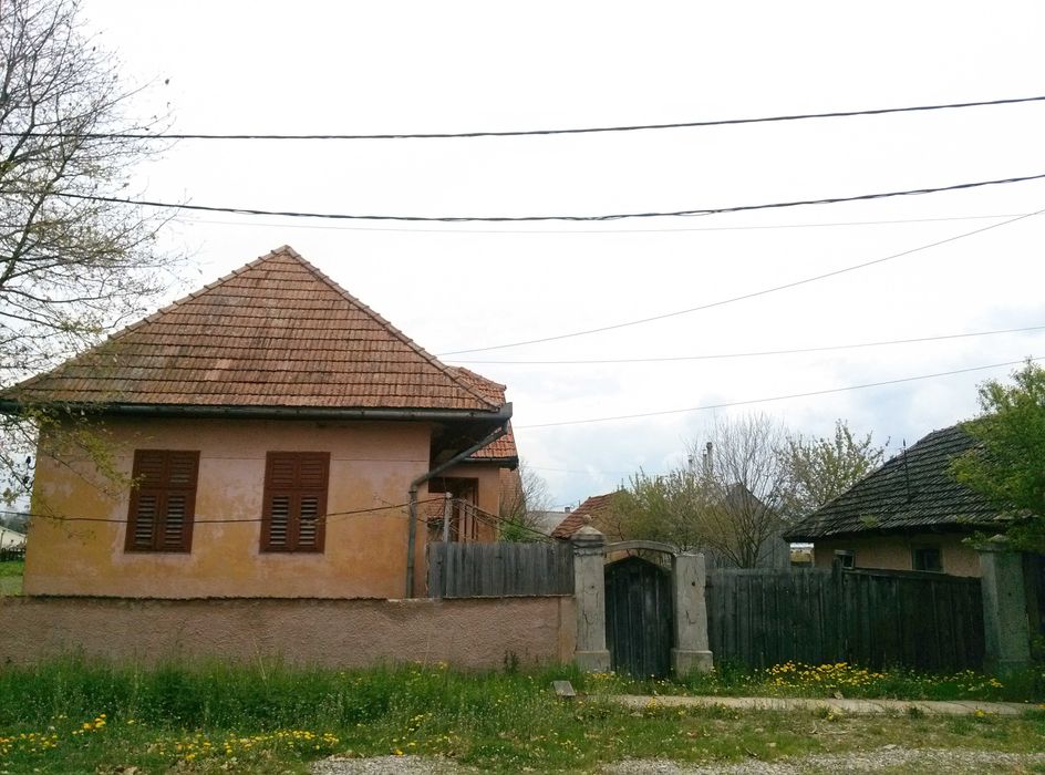 De vânzare casă familială, în Chichiș