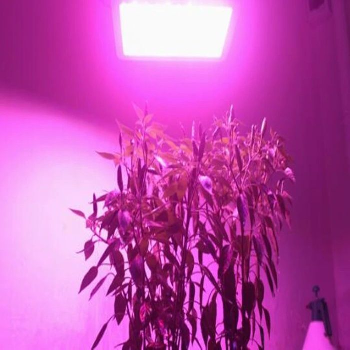 FITO LED свето-диод матрица 150 ватт полный спектр для растений рассад