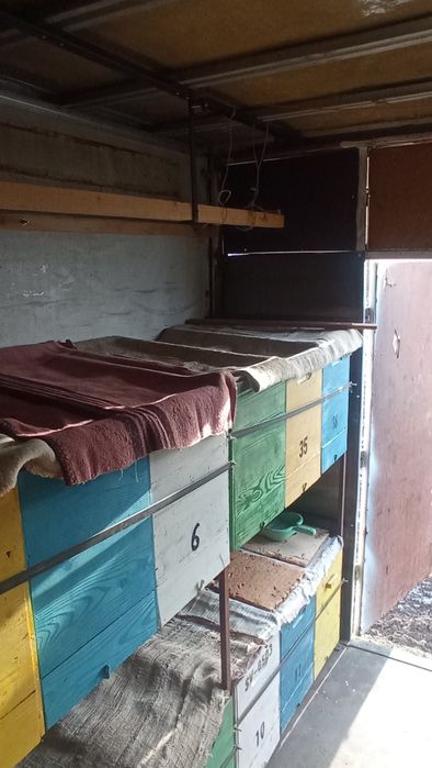 Stupina cu 48 de familii, stupi