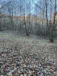 Teren extravilan 15000m, Valea Lunga-Dambovita
