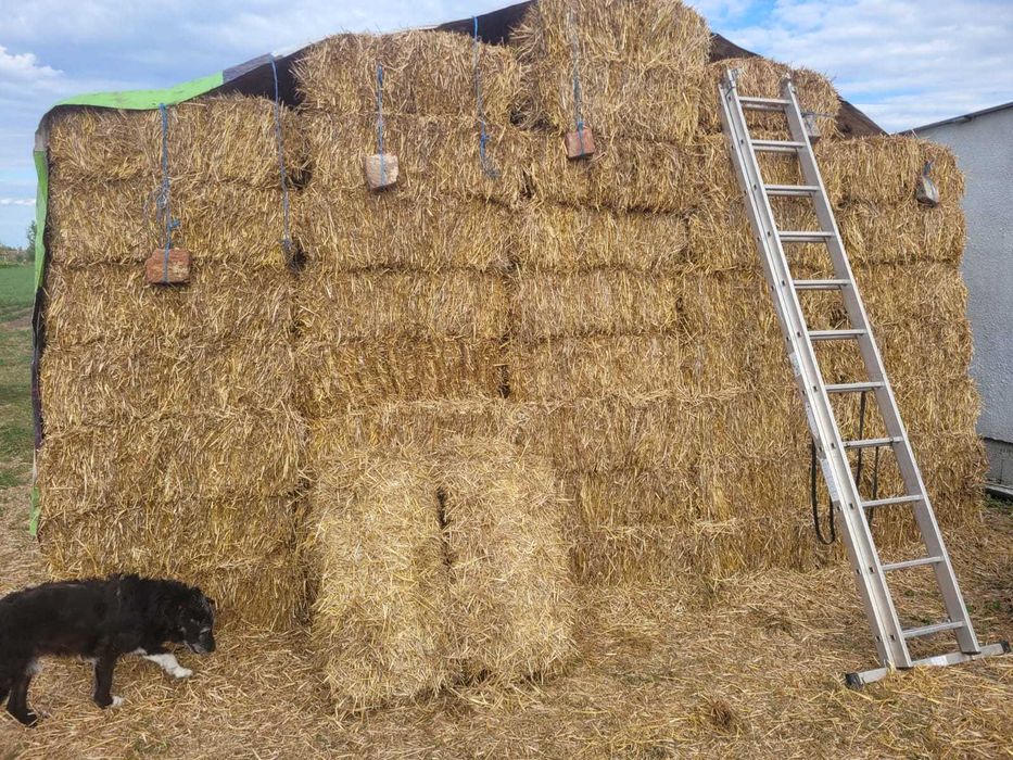 vand balot de lucerna, paie de orz si paie de  triticale