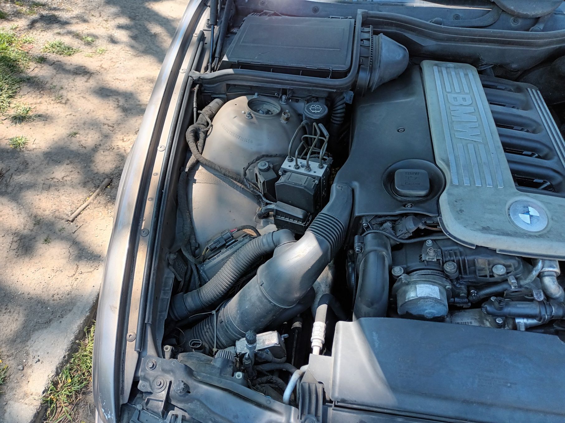 Dezmembrari  BMW 5 (E39)  1995  > 2004 525 d Motorina