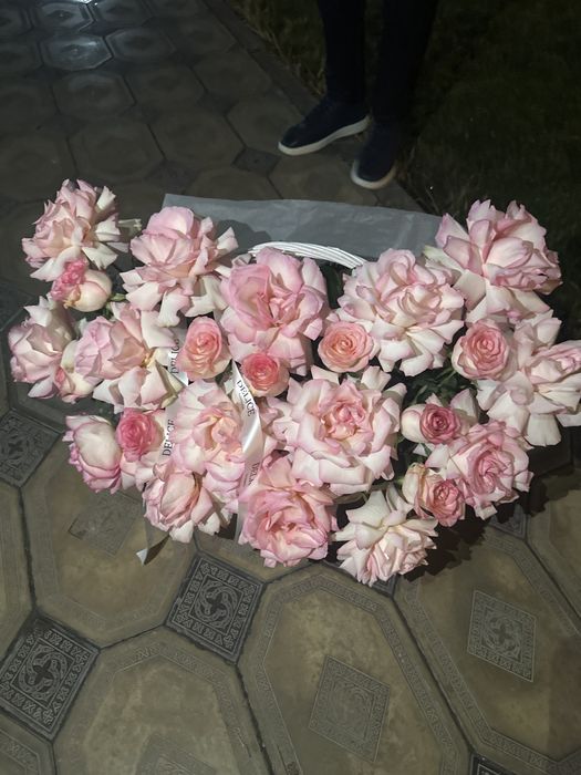 Гүл , өте жақсы 18 мыңға алғанбыз , 10 мыңға жақсы беріп тұрмыз