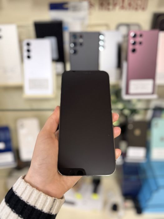 Apple iPhone 12 Pro Max