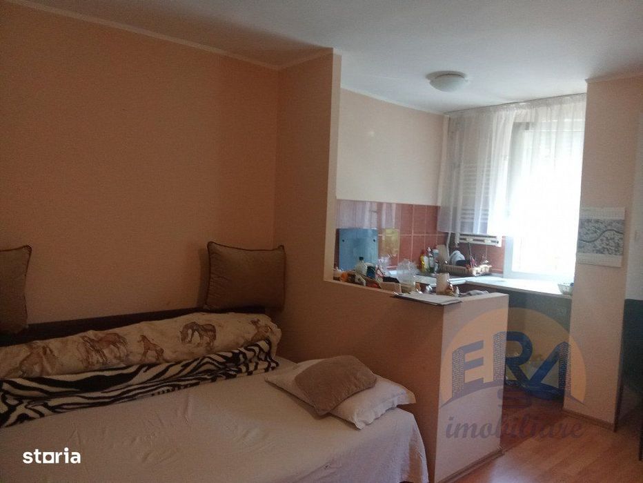 Apartament 1 camera, Str. Podului