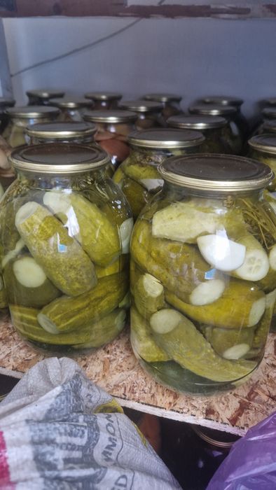Продам Солёные огурцы