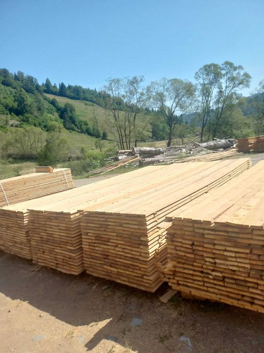 Cherestea, BRAD, Molid, STEJAR, FRASIN, Tei