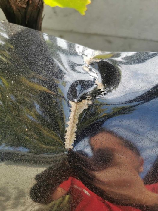 Преден капак за Honda Accord 8