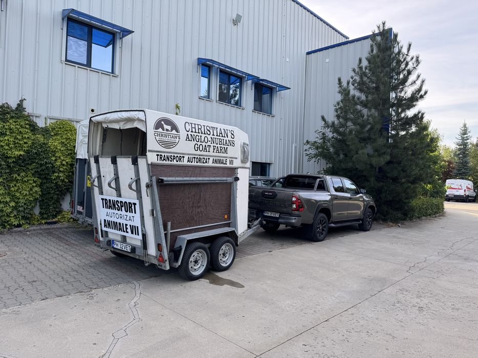 Transport autorizat animale vii