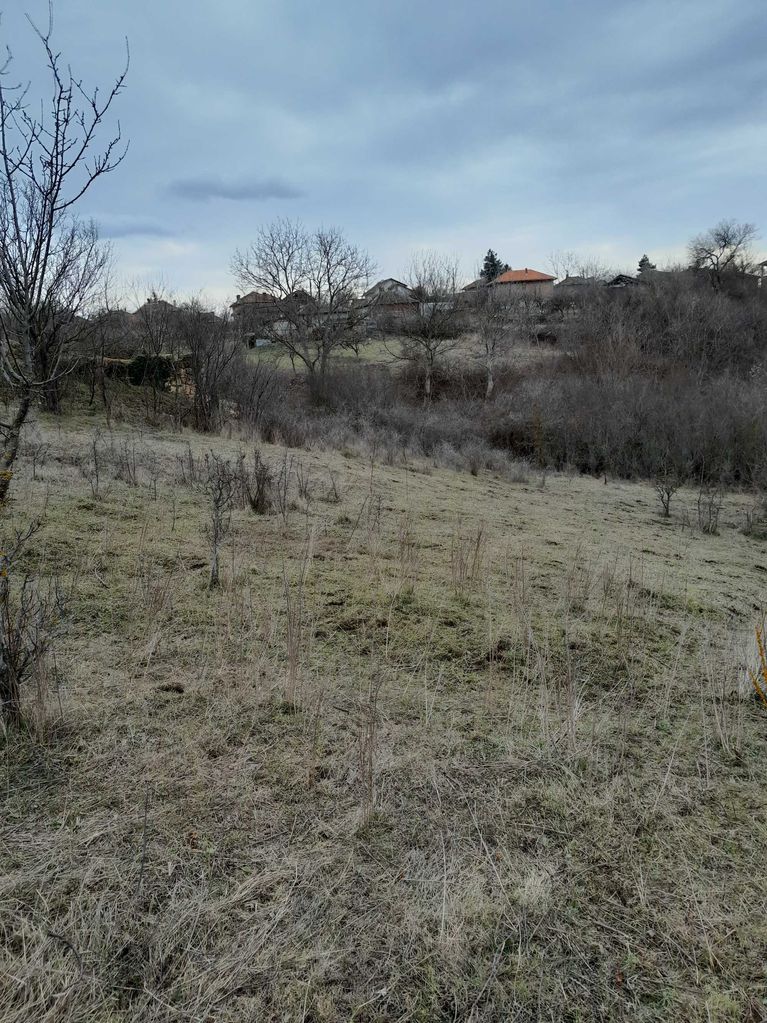 Продава се Парцел в Монтана, Кошарник - 1200 кв.м за 6 €/кв.м - Снимка #1