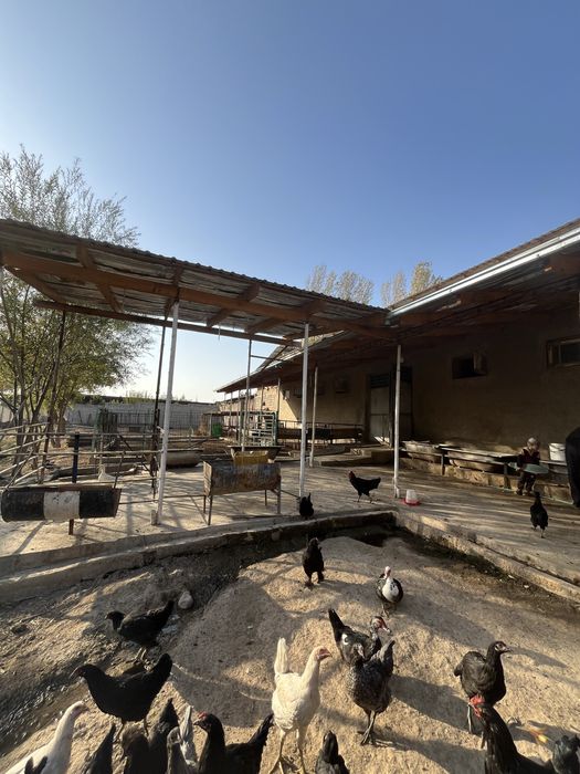 Продается Дачная зона + Ферма