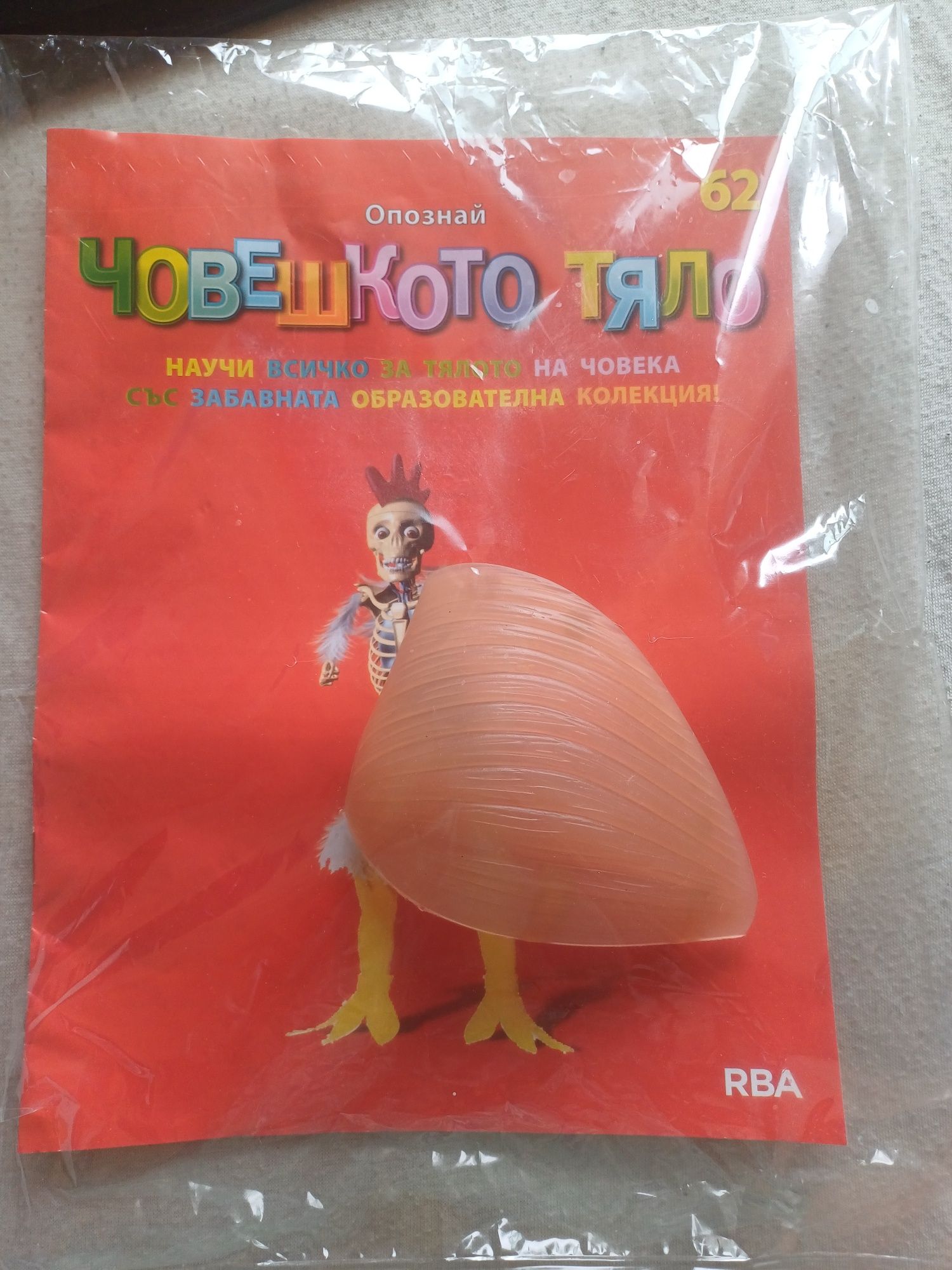 Човешкото тяло брой 62