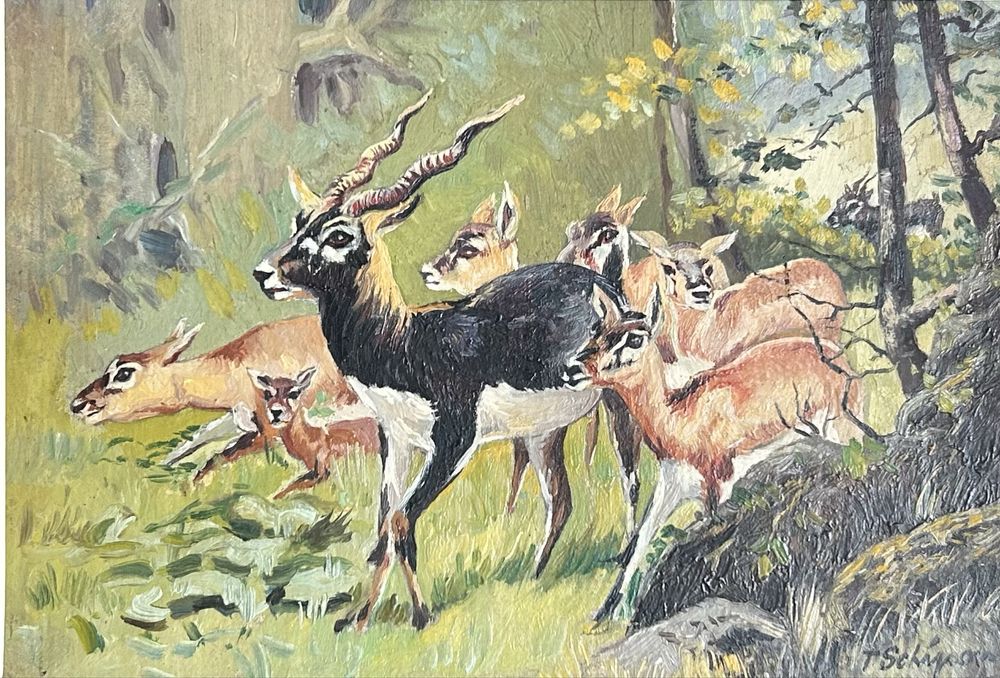 T Schipor 5 Tablouri Tematica Vanatoreasca picturi anii 60 rama 26x35