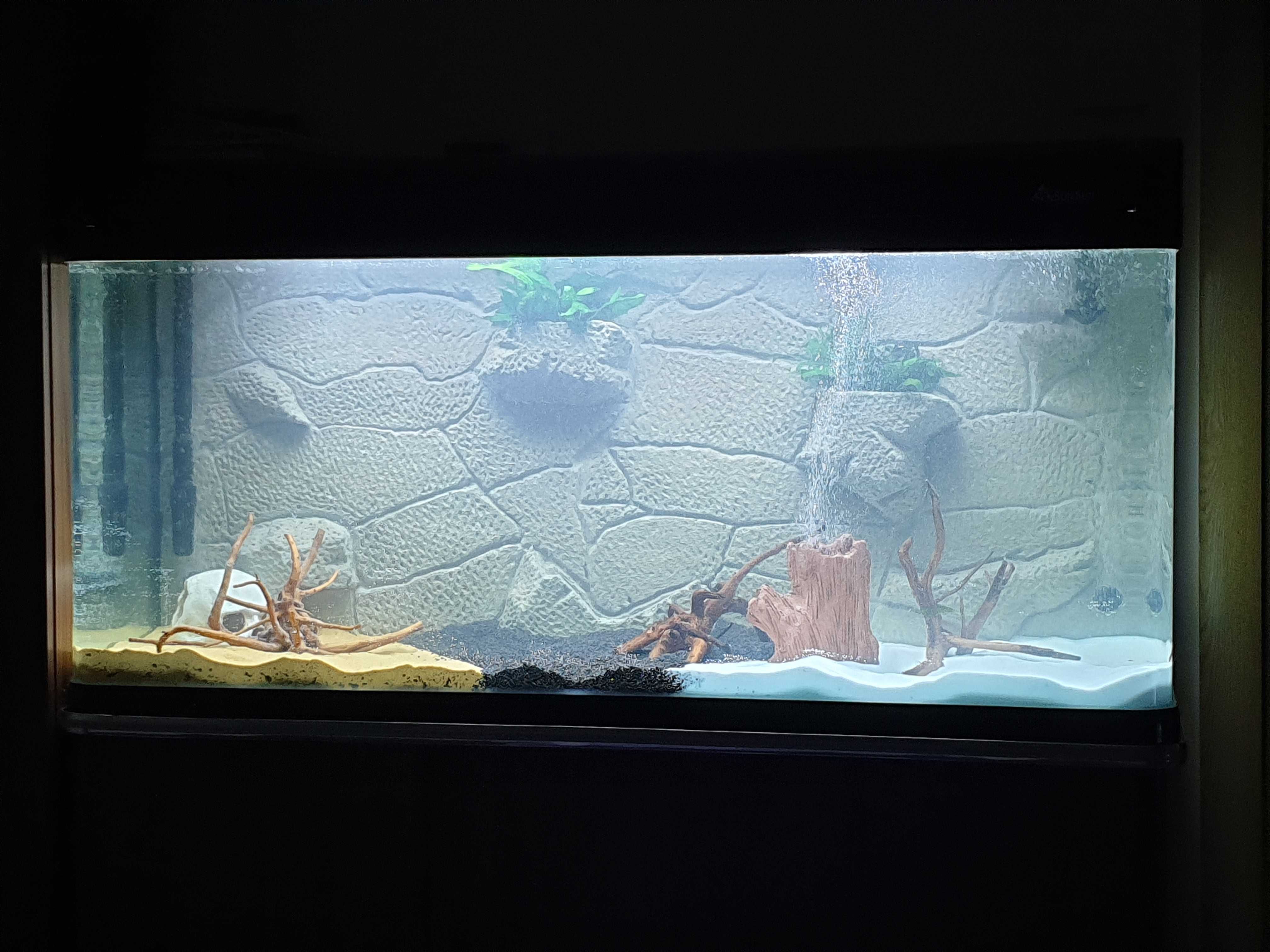 3D фон за аквариум