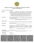 Дезинфекция уничтожение тараканов, клопов, мышей, грибков, плесени