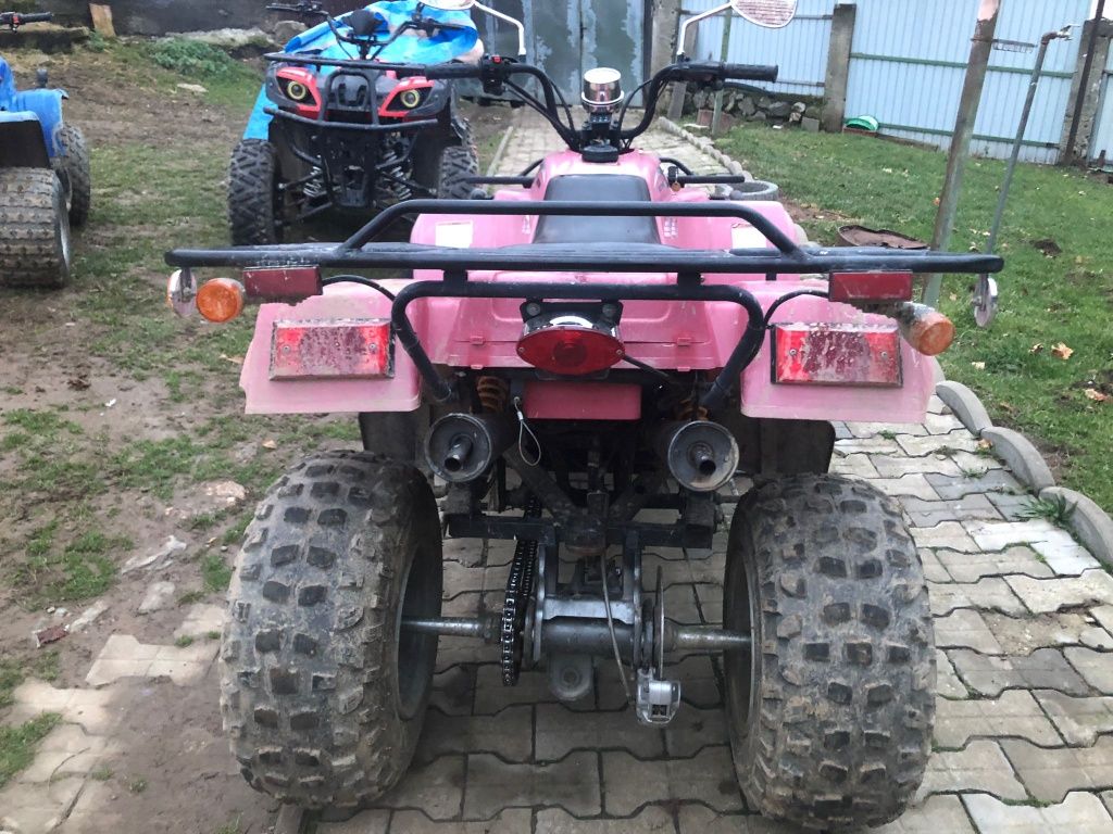 Schimb ATV cu animale