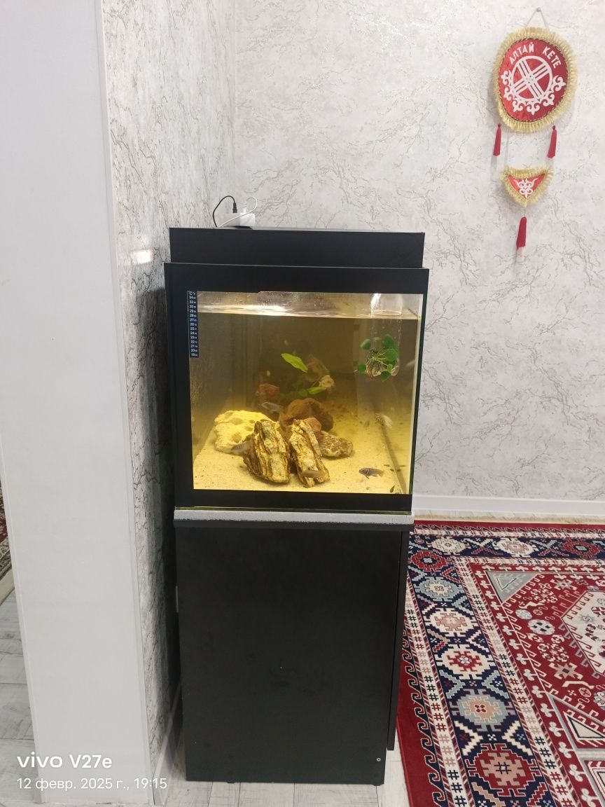 Продаю аквариум .