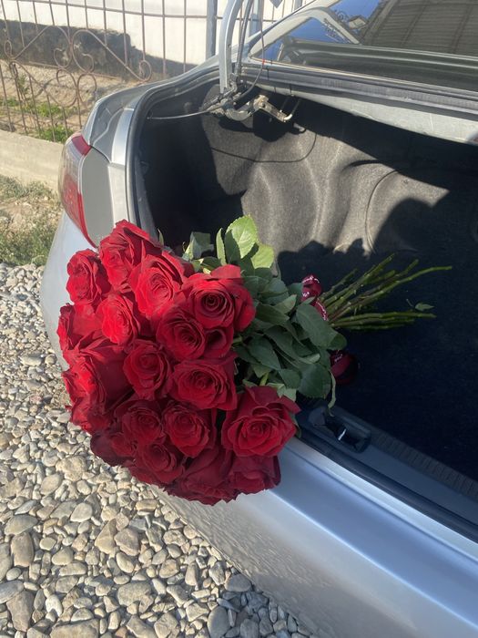 Цветы,голландски!!!