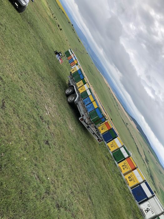 Modul Apicol / Rastel Apicol 36 Pozitii Transport Apicol