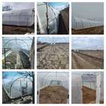 Solarii Legume - Solarii de Gradina - Sistem irigare