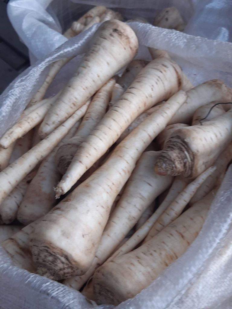 Vând        legume