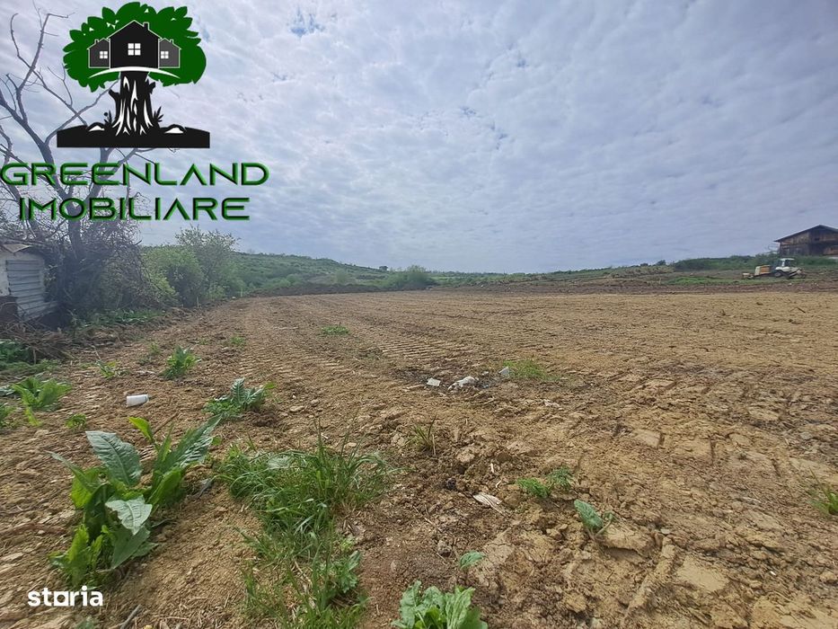 Teren Intravilan, 320 mp, toate Utilitatile, Acces FACIL, Bucium Visan