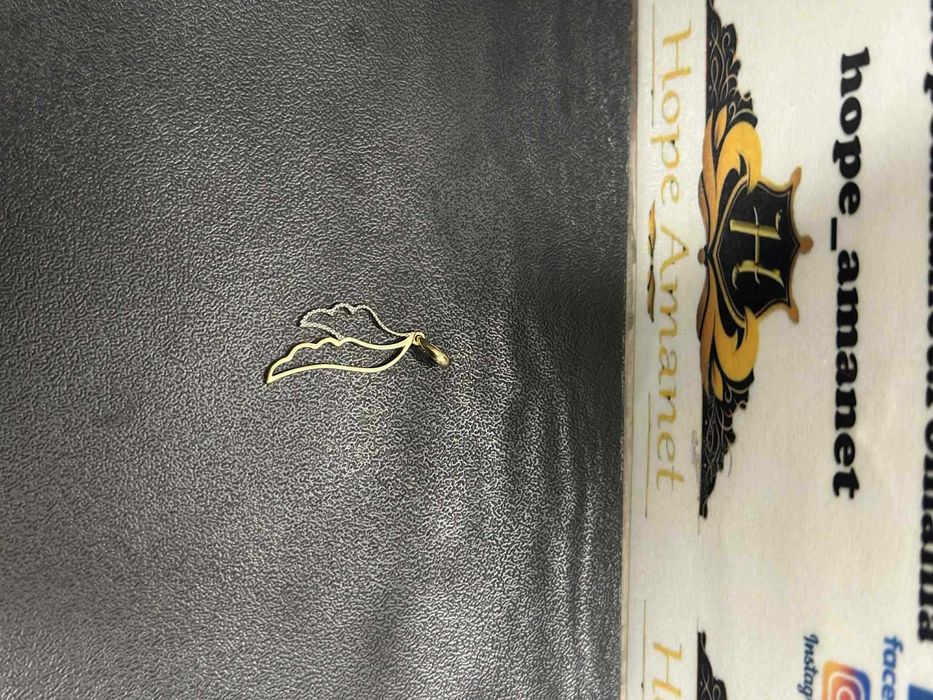 Hope Amanet P3 / Pandantiv din aur / 14k / 0.86gr