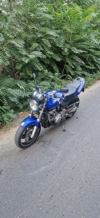 Honda Hornet PC 34 600 cm³