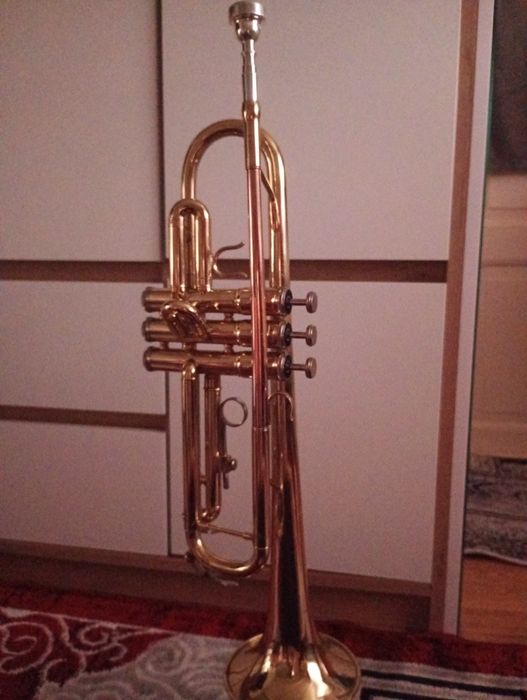 Vând trompetă parrot 6416 L