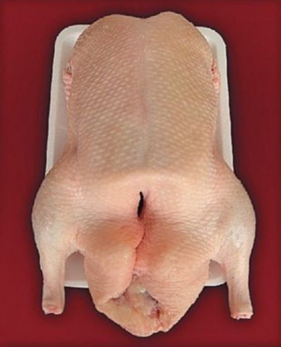 Продам тушки молоденькие гусей