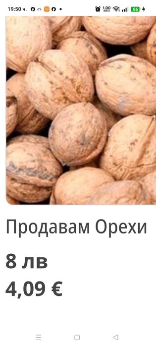 Продавам орехи от нашата градина .големи ядки,и много вкусни.