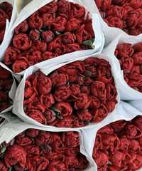 Доставка цветов,купить розы,купить пионы,тюльпан,букет на праздник